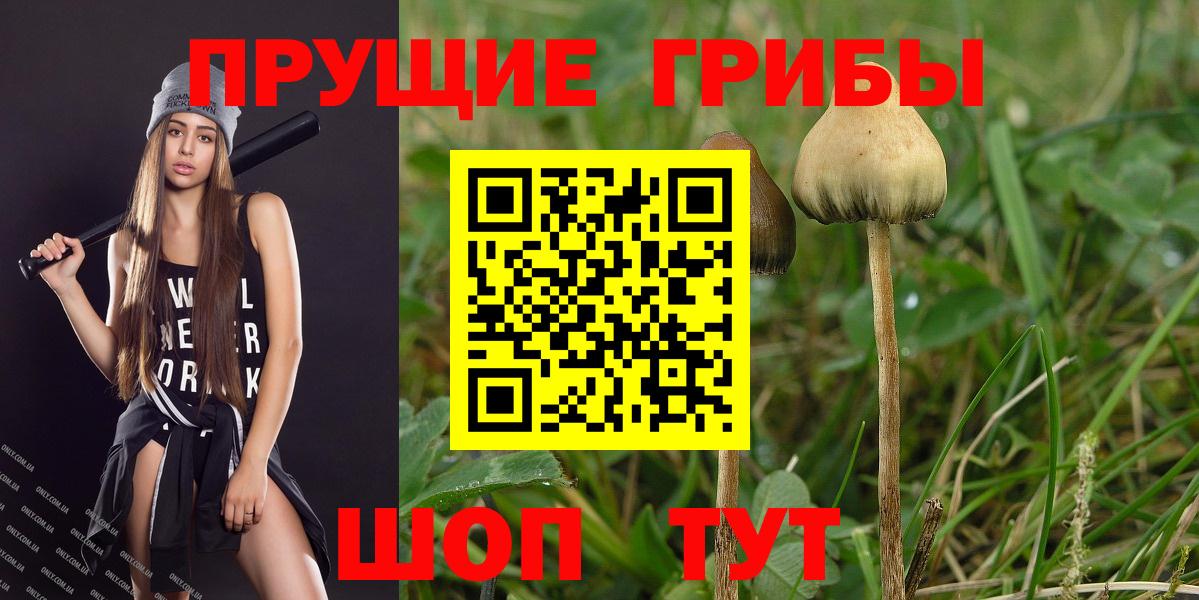 Междуреченск  Галлюциногенные грибы GOLDEN TEACHER  Вход с VPN 